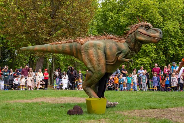 Dino Day to come to Whiteley 