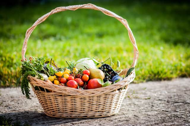 Expert shares which foods could help ease skin dryness as interest surges. Image source: Unsplash.