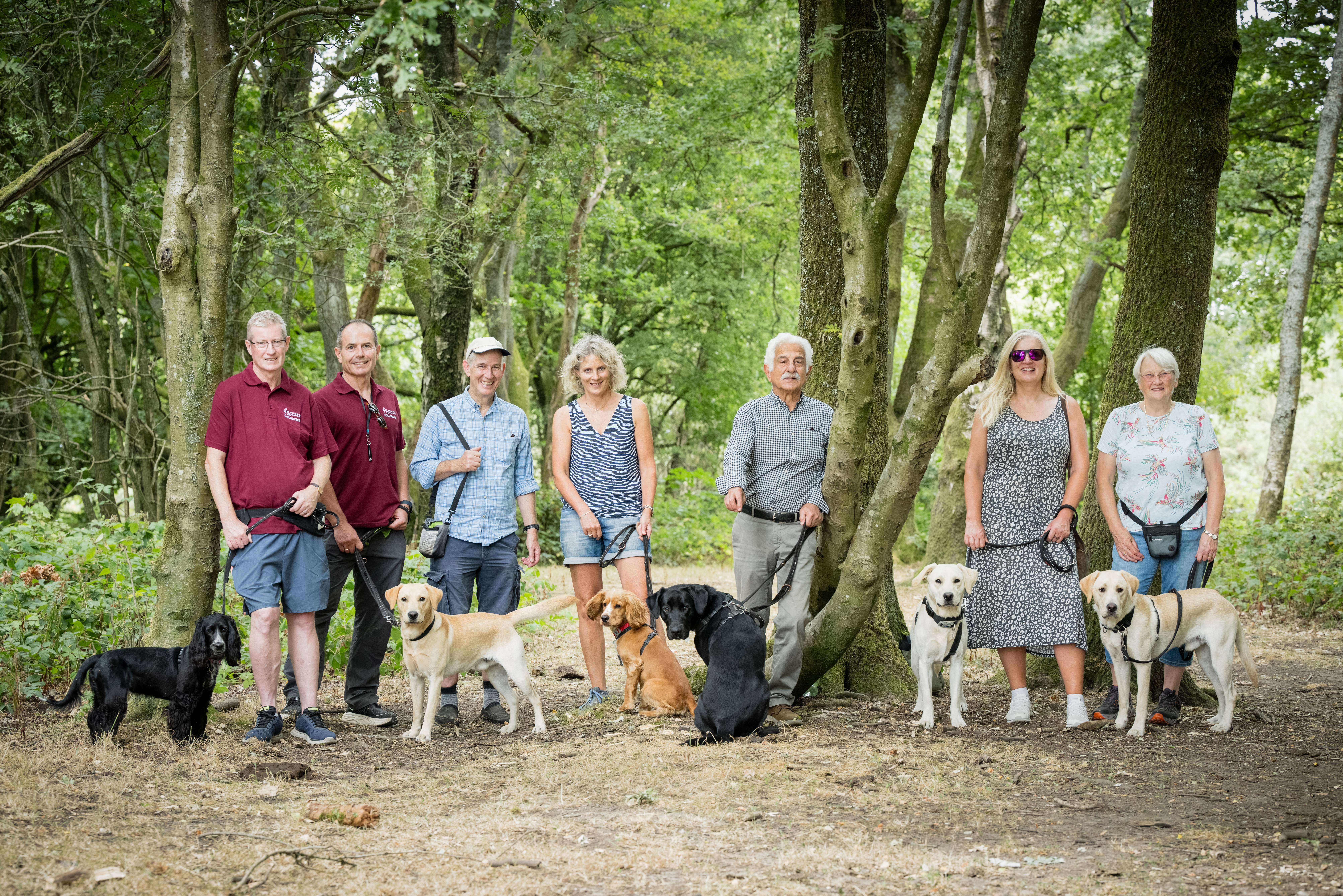 Hearing dog charity asks Portsmouth residents to walk 70 miles in October and the discover the area's hidden gems