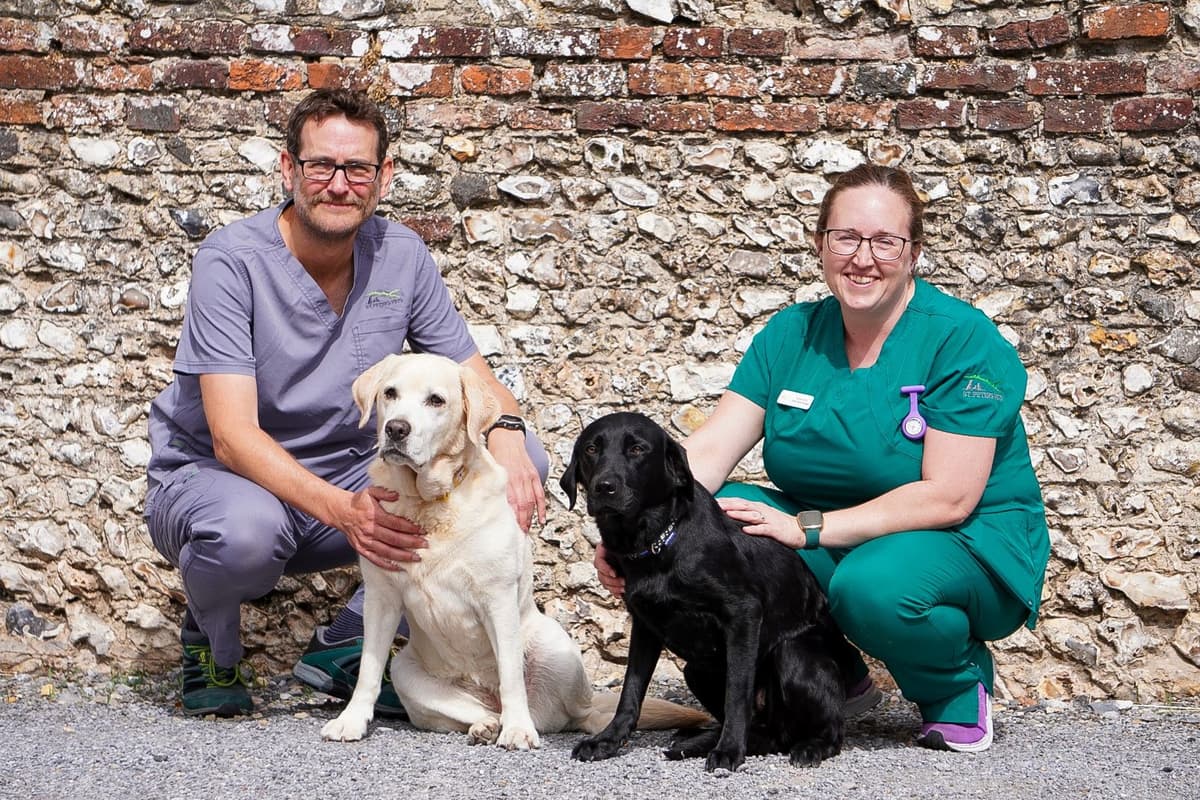Hampshire dogs with swallowing disorder are thriving, thanks to care from ...