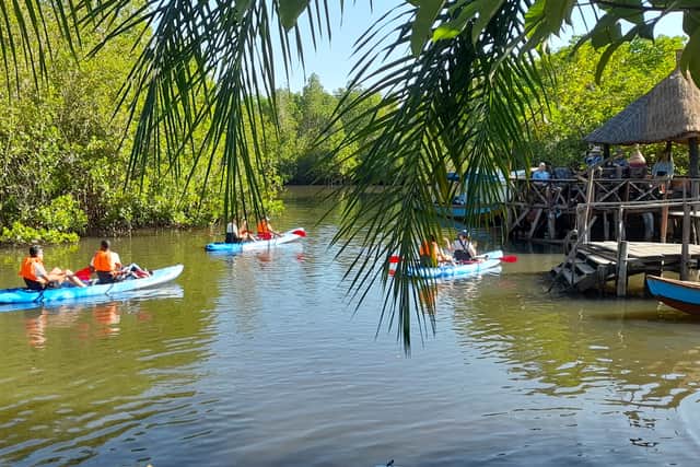Kayaking the waterways of the River Gambia