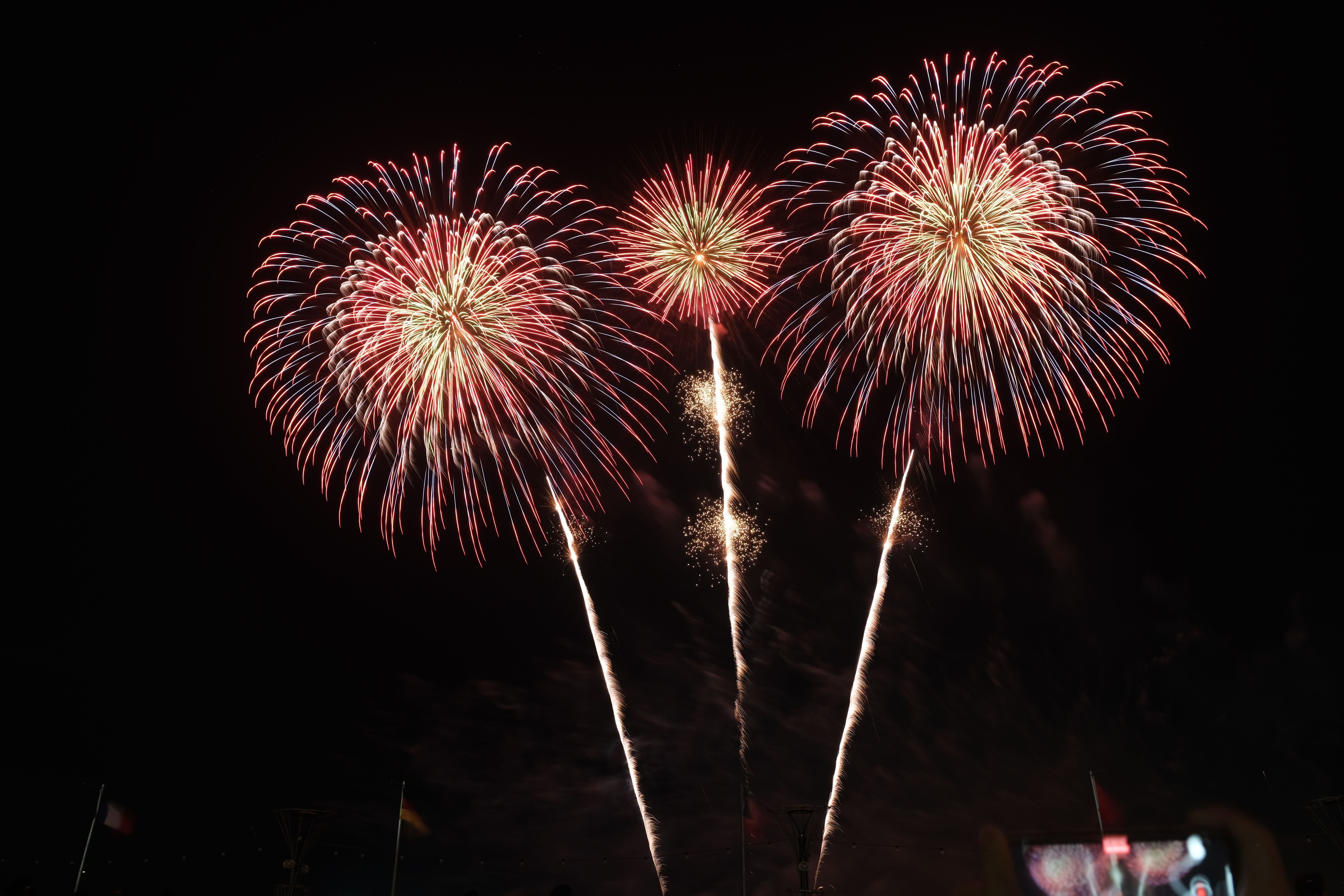 Pet experts urge Portsmouth owners to back quieter fireworks before Government consultation closes tomorrow