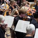 Havant Symphony Orchestra 