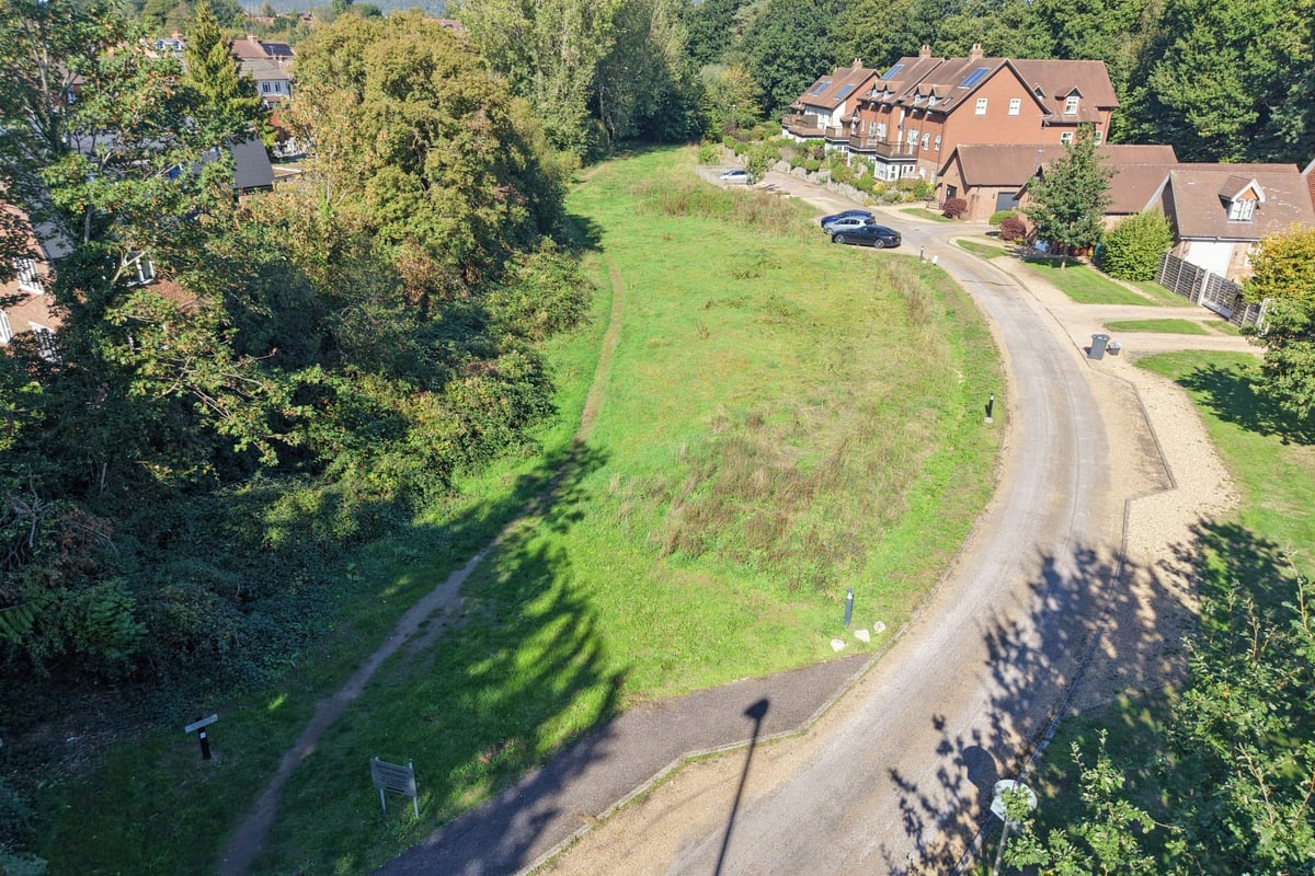 This patch of land in Hampshire is going to be auctioned