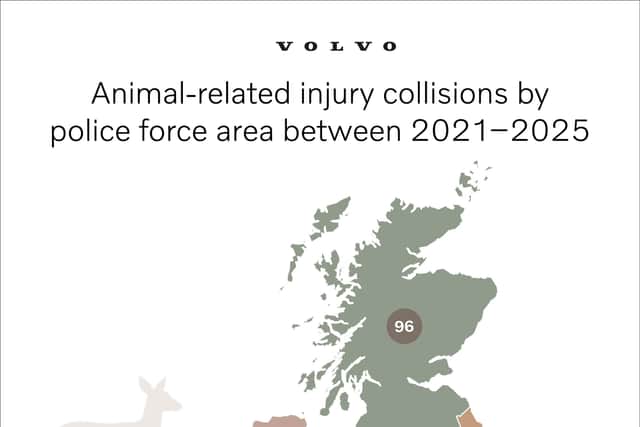 Map showing animal-related injury collisions by police force area