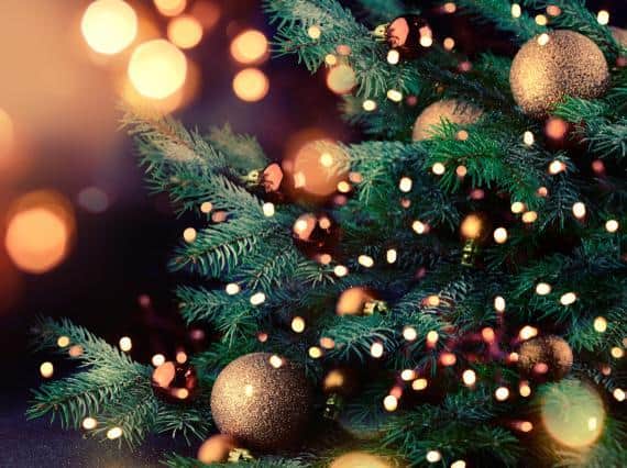 What sort of tree will you be going for this year? Picture: Shutterstock