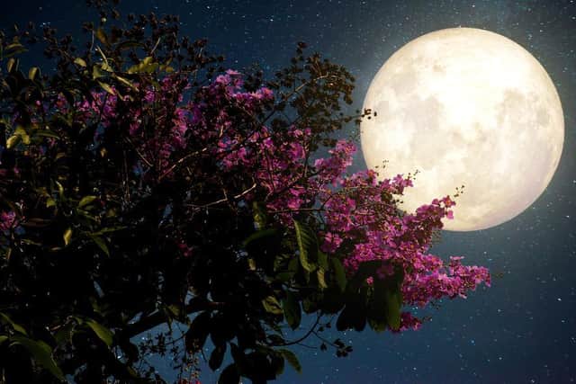 Easter Sunday itself is still determined by the cycle of the moon. Picture: Shutterstock