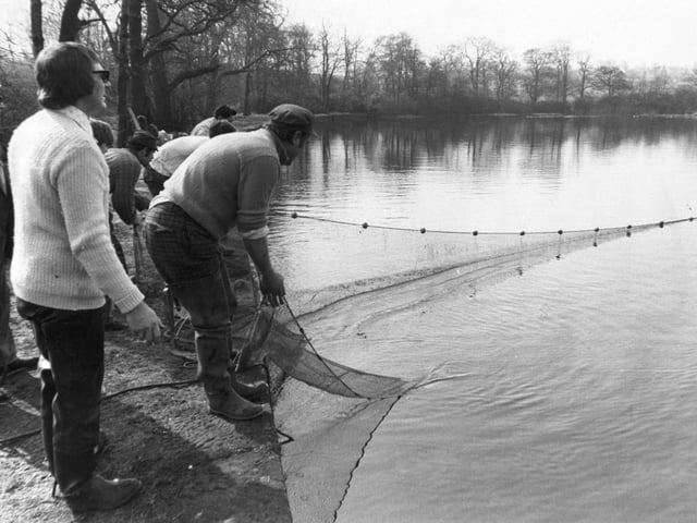 Members of Leeds Telephone Engineers AC during 'netting' operations at Paul's Pond. They were clearing the pond of unwanted small roach and perch, hoping to exchange them for bream with Bradford City AA.