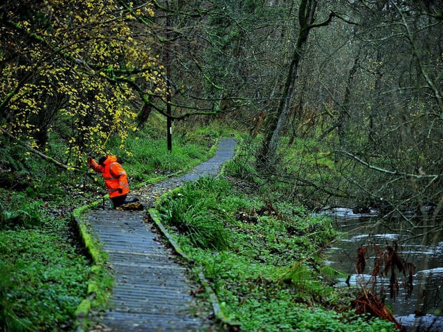 If yo'd rather explore woodland than coastline, there's plenty to see at Forge Valley. The walkway makes this option accessible to all ages.