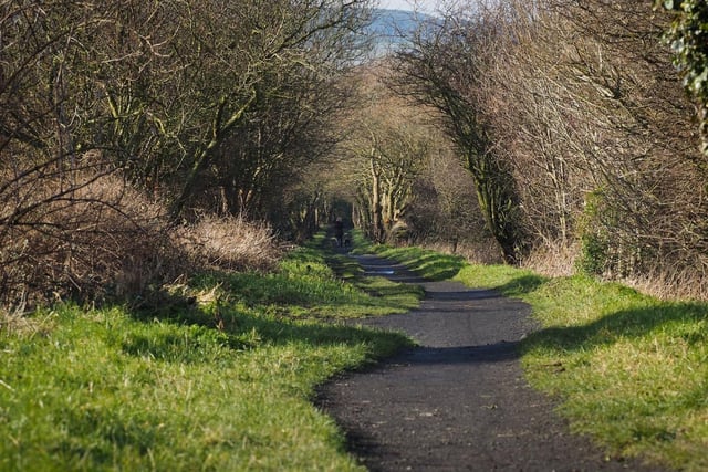 Popular with walkers and cyclists, the cinder track is a nice flat run all the way to Whitby so you can choose varying lengths depending on your fitness level and time constraints.