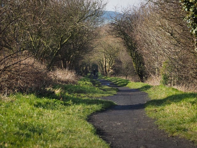 Popular with walkers and cyclists, the cinder track is a nice flat run all the way to Whitby so you can choose varying lengths depending on your fitness level and time constraints.