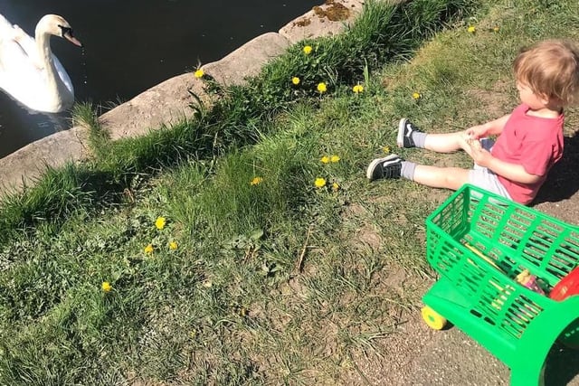 Louise Heather Vickers said: "Roman feeding the swan with his favourite trolley!"