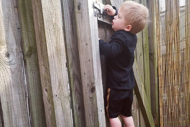 Danielle Priestley said: "My son trying to escape!"