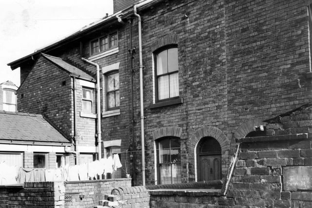 Rear yards and entrances of Back Cameron Street, a row of through terraced houses in March 1965.