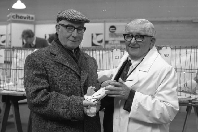 Pigeon power came to Blackpool as enthusiasts from all over the world winged in for the show of the year. The British Homing World spectacular at the Winter Gardens Olympia attracted a record entry of over 1,200. Pictured is Judge Tom Riding (right) with the Queen's pigeon manager Len Rush who threw a regal eye over the proceedings