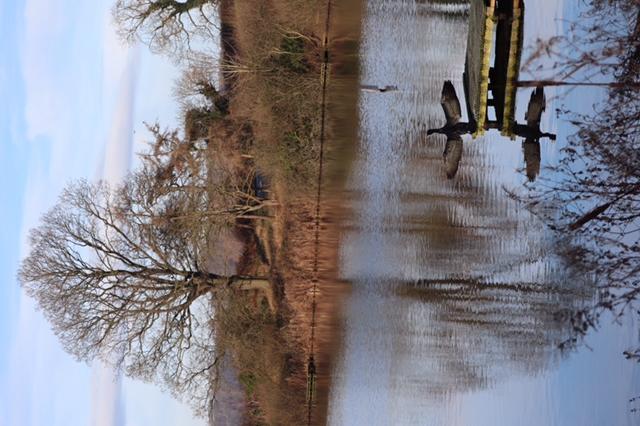 Reflection at Throxenby Mere