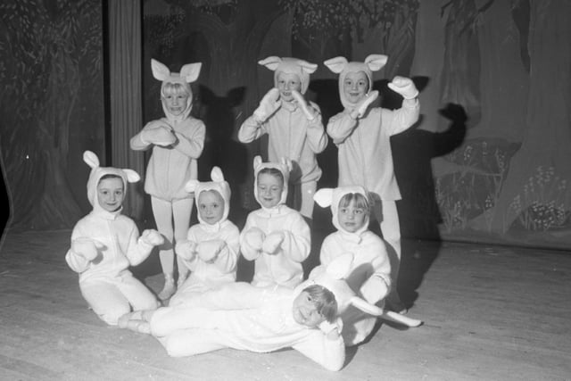 And this bevy of very cute rabbits were also taking part in the dance show at Kirkham High School