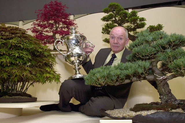 25/4/02   Winner of the Best in  Show  trophy is  Louis Hawksby of  North of England Bonsai ,  York  at the Harrogate  Spring Flower Show.