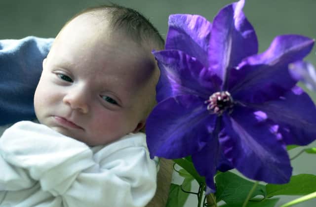 Harrogate Spring Flower Show, at the Great Yorkshire Show ground. 
The youngest exhibitor, Thomas Riley, 5 weeks old, from Doncaster, with a Clematis.