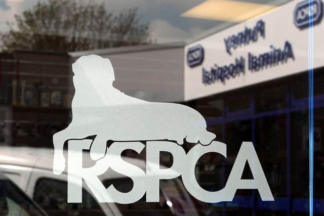 The RSPCA Photo: PA Images