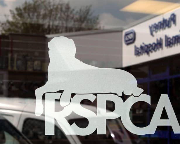 The RSPCA  Photo: PA Images
