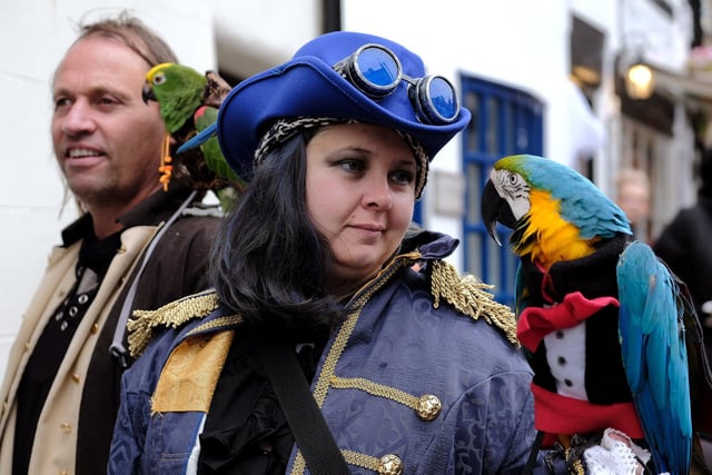 But it wasn't just dogs. Proof that the festival isn't just for humans, there was even a parrot with its best goth outfit on