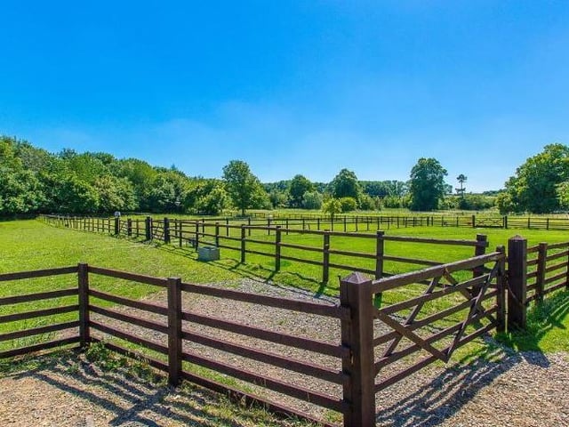 There are a total of three paddocks outside