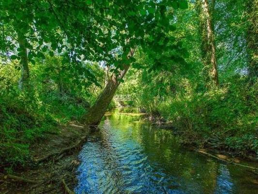 Harpers Brook runs along the boundary of the property