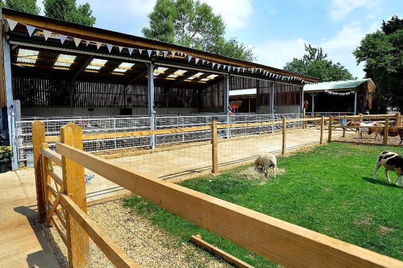 Located in Ferring, just outside Worthing, West Sussex, this farm is a great place to see typical farm animals such as pigs, goats, chickens, and rabbits. It also has a lovely playground.