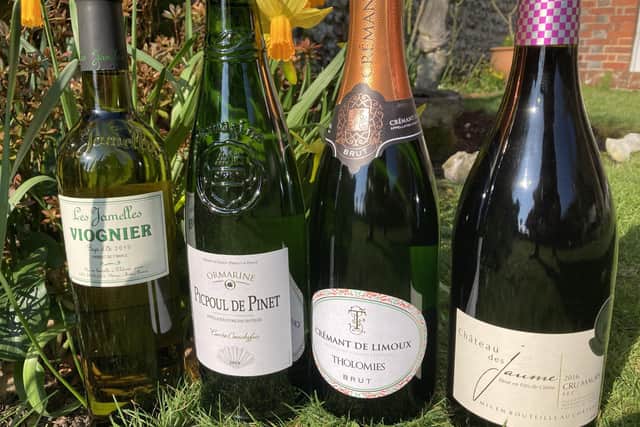 Wines from women winemakers SUS-210103-131133001