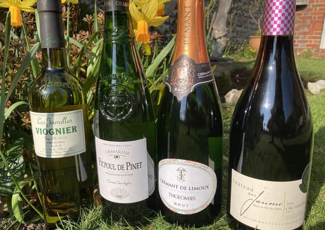 Wines from women winemakers SUS-210103-131133001