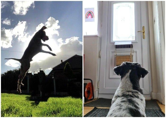 To infinity and beyond by Milly Travis, 15, from Rotherham, left, and Loneliness by Liam Taylor, 18, from Littlehampton