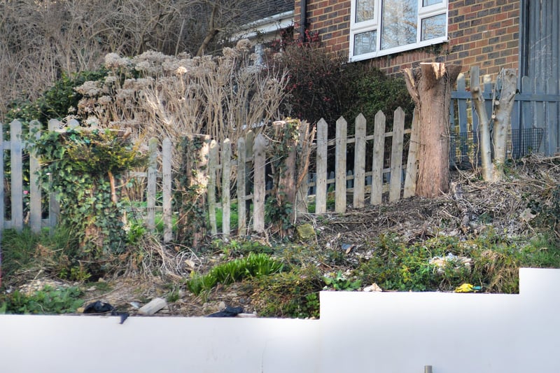 Tina Stavri's conifers have been felled without her knowing while she's been in France. Photo shows where the conifers used to be in front of her property in Amherst Road, Bexhill. SUS-210903-104148001