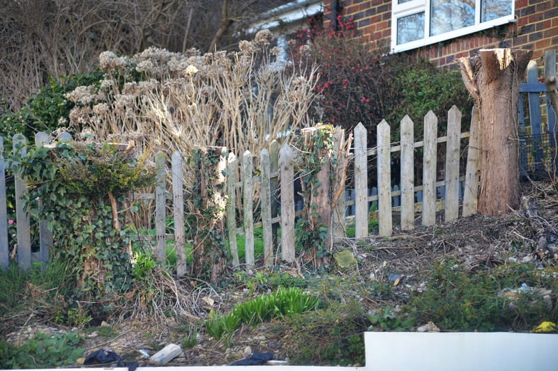 Tina Stavri's conifers have been felled without her knowing while she's been in France. Photo shows where the conifers used to be in front of her property in Amherst Road, Bexhill. SUS-210903-104241001
