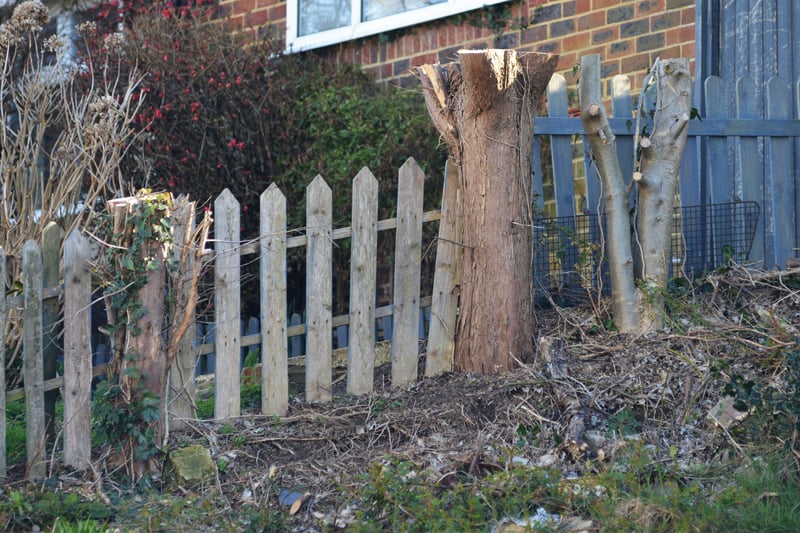 Tina Stavri's conifers have been felled without her knowing while she's been in France. Photo shows where the conifers used to be in front of her property in Amherst Road, Bexhill. SUS-210903-104256001