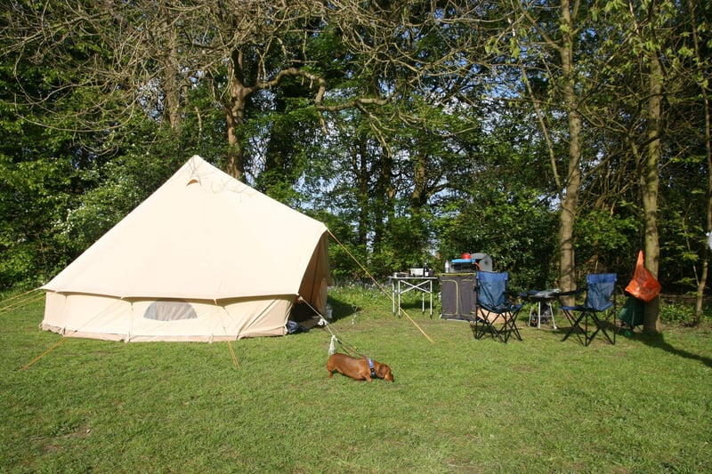 Secluded, luxury glamping in your choice of a yurt, bell tent or cabin, nestled in the heart of East Sussex country side, open all year round. All three options have electric, toilets/shower, kitchen amenities and outside space with picnic benches/patio area.