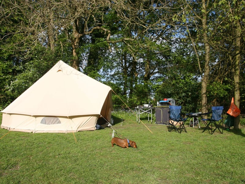 Secluded, luxury glamping in your choice of a yurt, bell tent or cabin, nestled in the heart of East Sussex country side, open all year round. All three options have electric, toilets/shower, kitchen amenities and outside space with picnic benches/patio area.