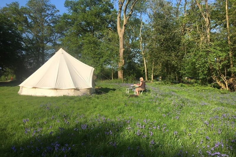 Offering camping and glamping in a remote area this off-grid site boasts generous pitches, secluded pitches,  eco-friendly amenities, campfires and access to the 'ancient wood' for young adventurers.