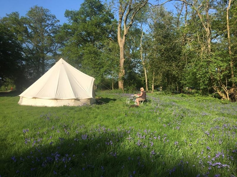 Offering camping and glamping in a remote area this off-grid site boasts generous pitches, secluded pitches, eco-friendly amenities, campfires and access to the 'ancient wood' for young adventurers.