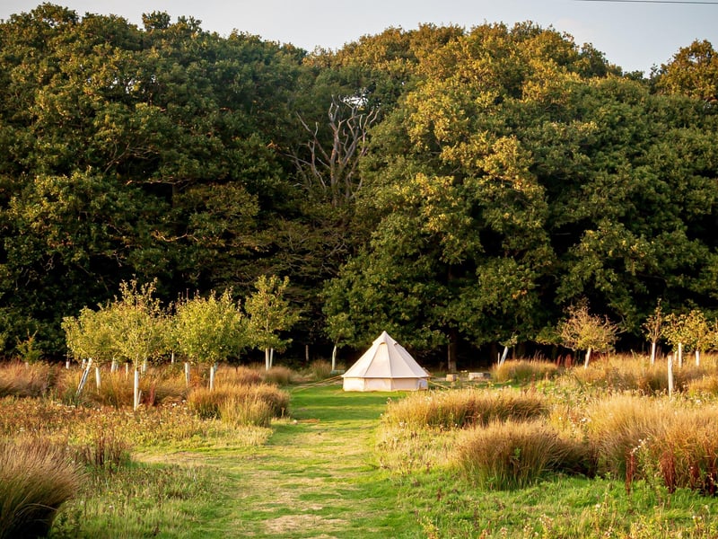 This campsites main focus is on nature and back to basics camping, pitches are large, spreadout and nestled beside trees. Amenties include; hot showers, fridge/freezer, electric car plug in - all solar powered.