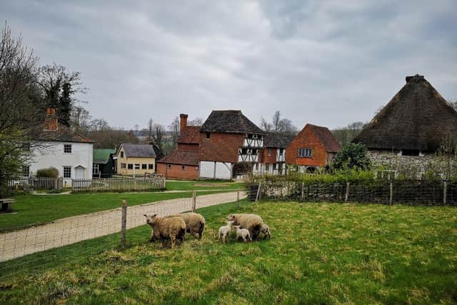 Weald & Downland Living Museum