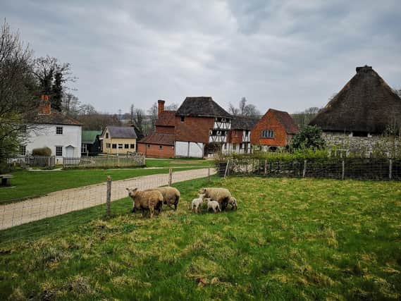 Weald & Downland Living Museum