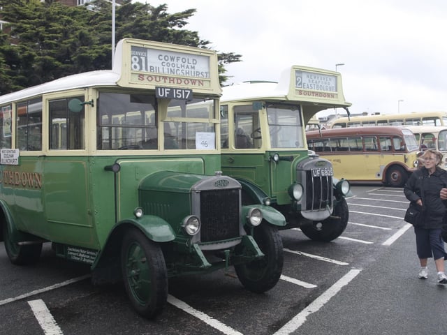 Worthing Lions Festival 2015. Picture: Derek Martin