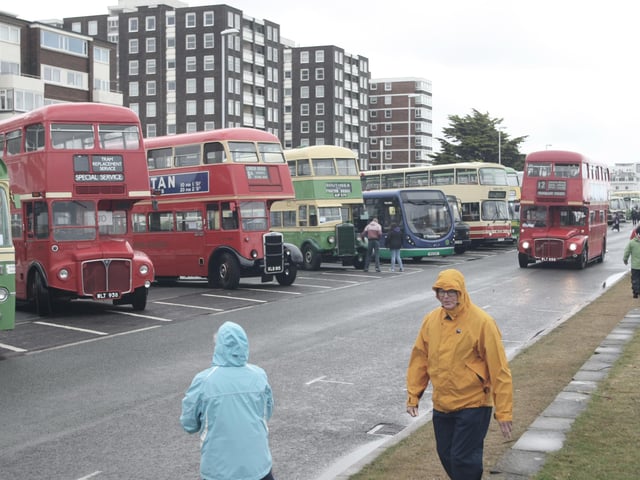 Worthing Lions Festival 2015. Picture: Derek Martin