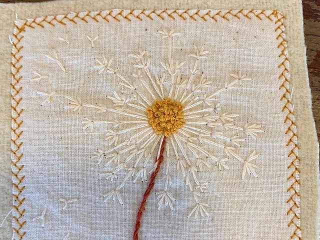 From Clitheroe: "A dandelion head being used as a clock. Time is running out." SUS-210311-134523001