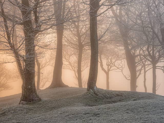 Fire & Ice by Jamie Fielding -  1st place in South Downs National Park Photo Competition 2021 2022.