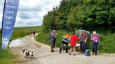 The annual South Downs Way Walk is open for registration SUS-220131-101642001