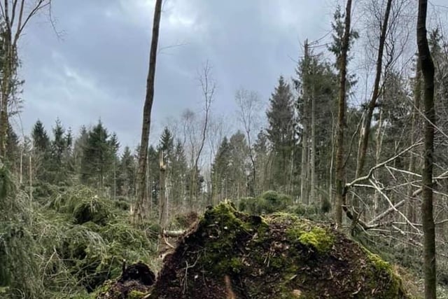 The damage caused by Storm Eunice to Tulley's Farm