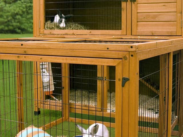 Large hutch with run is ideal for rabbits (photo: Quench Studios)