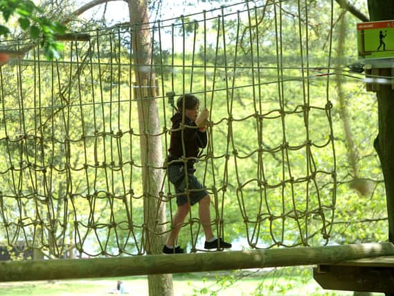 There is a Treetop adventure, a treetop challenge and the Segway Adventure. Visit https://goape.co.uk/locations/Crawley to book or more information